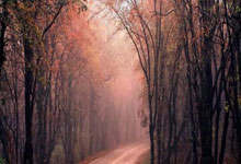 壹号娱乐：新人中卫犯低级失误 哈兰德率曼市逆转蓝军.