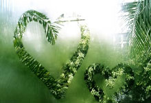 叶诗文回应“报仰泳”:带来新刺激潮新闻.