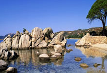 [欧冠]西蒙尼运筹帷幄 马竞加时淘汰利物浦.